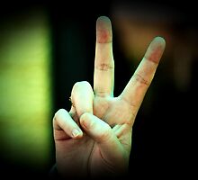 Peace Bro' by bribiedamo