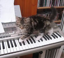 65 - MITCH THE PIANIST (D.E. 2008) by BLYTHPHOTO