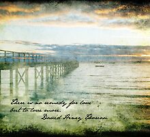 Remedy for Love by Sue Wickham