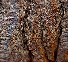 When Elephants Weep by Julie Marks