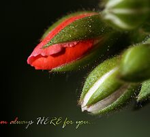 I am always here for you by Freelancer