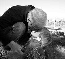 Kisses For Grandma by Patricia Elliott