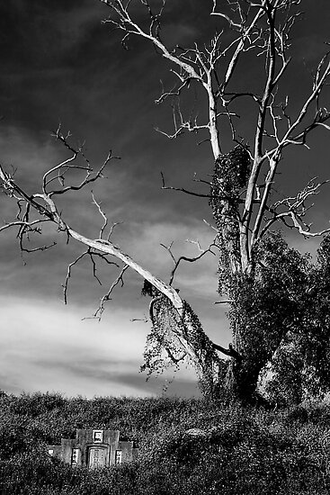 Haunted Tree by Scott Robert Scheller