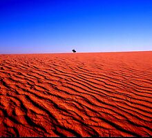 DUNE COUNTRY by helmutk