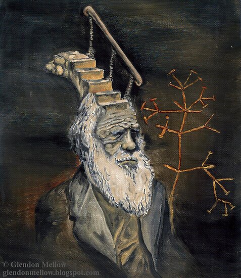 Darwin Took Steps © Glendon Mellow