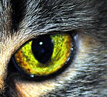 Hypnotize by charlena