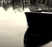 Against Misery by David L. Manjarrez