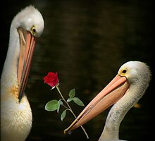 WOW! I won a challenge with ... Will you be my Valentine by myraj