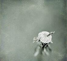 Wishful Thinking by Trish Mistric