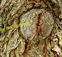 Time Heals Hartbreaks... by Carole Boudreau