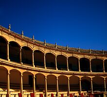 Plaza de Toros de Ronda by Damienne Bingham