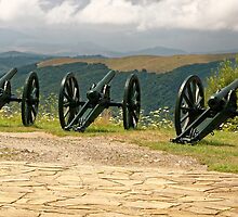 Guns and Flowers, Shipka, Bulgaria by atomov
