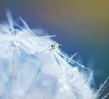 wishful thinking by Natalia Campbell