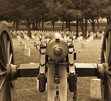 The Results of War by Charles Dobbs Photography