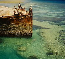 Heron Island Shipwreck, Australia by Shaina Lunde