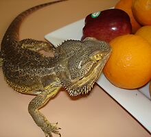 Fruit tasting by Sharon Stevens