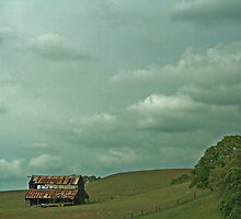 Old and Lonely by Laurie Search