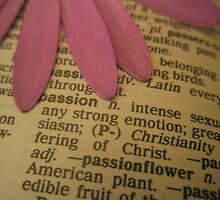 Passion Defined by Melissa Park