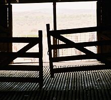 Door Way Out by Felicity McLeod