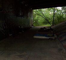 hobo utopia 1 by ariyahjoseph