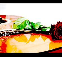 The Heart Strings by EvCohen