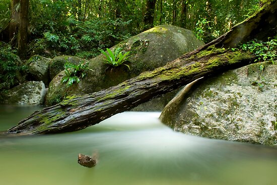 Mossman Queensland