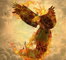Phoenix by barruf