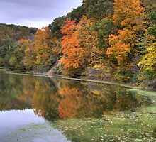 Kickapoo State Park - Number Six Lake by Jeff VanDyke