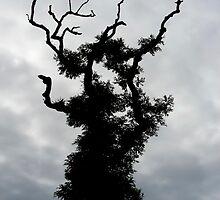 Spooky Tree by Mary Lane