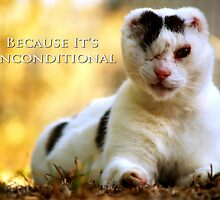 Love is Blind - Because It's Unconditional by Craig Shillington