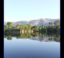 Reflections in My Utopia by J.C Photography