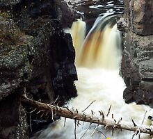 Temperance River State Park, Lake Superior by Robert Stone