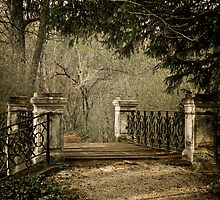 My secret garden III. by Csaba Jekkel