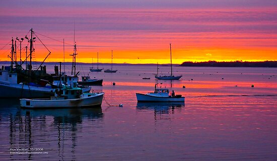 external image flat,550x550,075,f.jpg