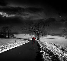 Where there is will, there is a way... by Reena D