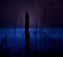 Hallowed Ground by Mary Ann Reilly