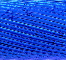 Wired and Blue by bluemtnblues