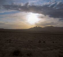 Expanse by Laurie Puglia