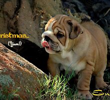 ~Light Tasting Xmas Card~ by a-m .