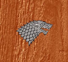 Grey Wolf by Brinjen