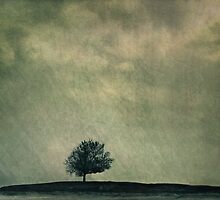 Screaming At The Top of My Voice by Dana DiPasquale