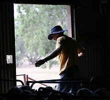 Shearing shed by annofsilhouette