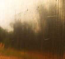 "Metalic reflections" by debsphotos