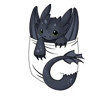 Is that a dragon in your pocket? by CoyoDesign