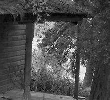 Forgotten 1 by BetseyF