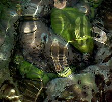Under the Sea by Francesca Rizzo