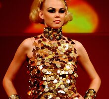 Can you afford it ? by Alain Christopher