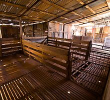 Koonalda Shearers Shed - Nullarbor Plain, South Australia by Stephen Permezel
