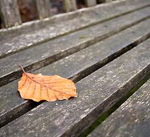 Is anyone sitting here? by Victoria Kidgell