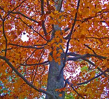 Changing by Van Coleman